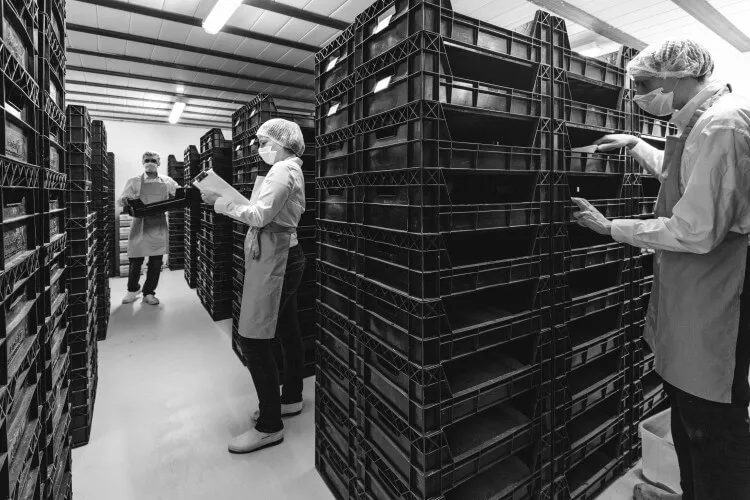 Funding News: Five Seasons Ventures, Witco, Kepler Interactive, Agronutris, Lhyfe